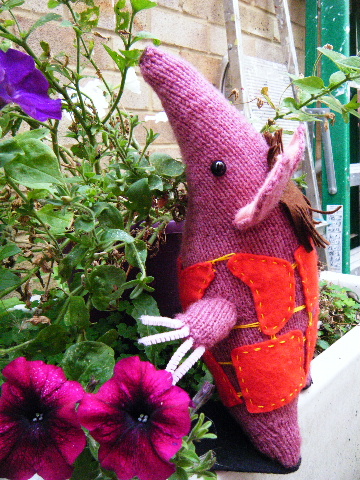 Leandra's Clanger